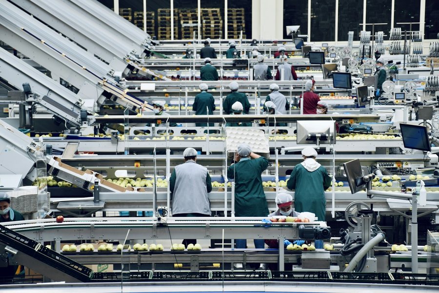 食品工場の生産ラインで作業する人たち